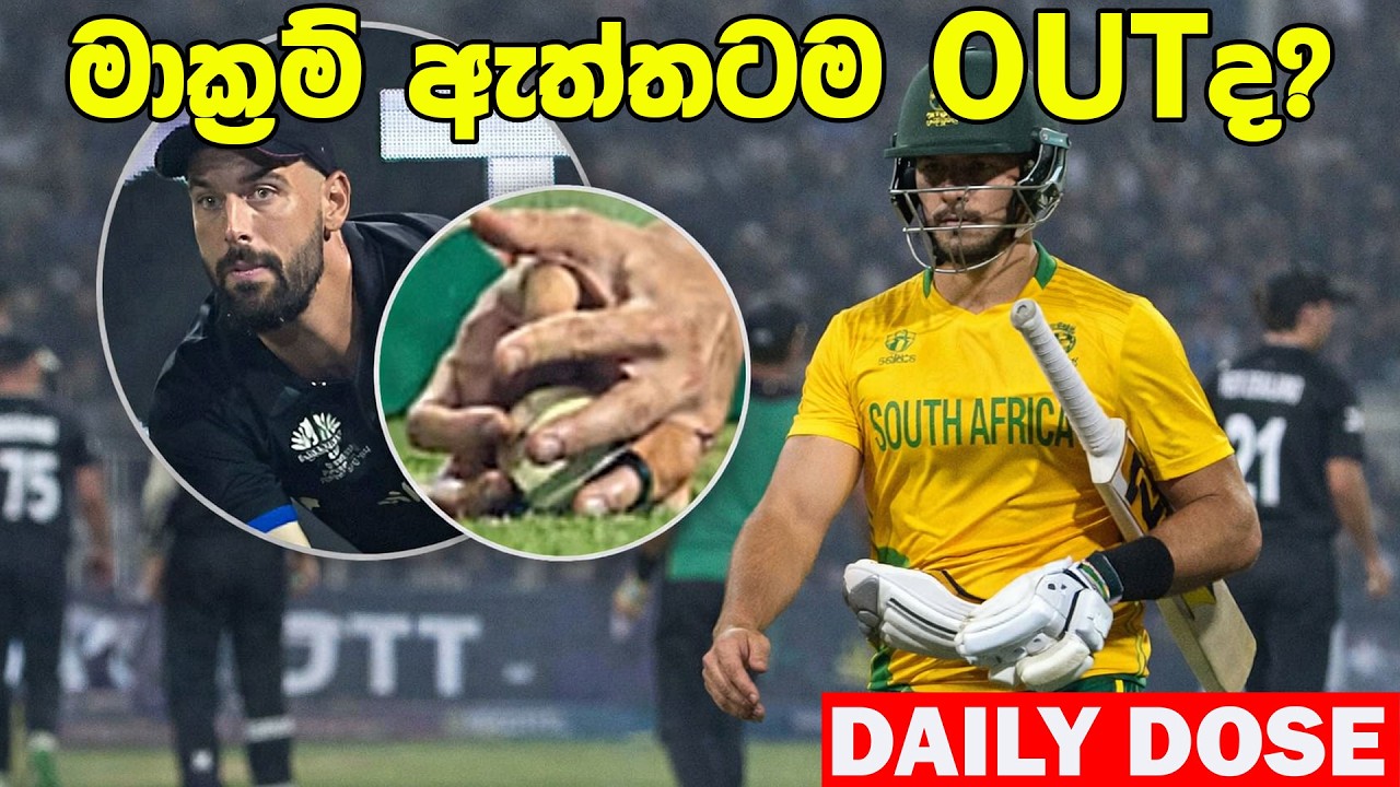 ෆින් ඇලන්ගෙ පින් බලෙන් කිවියෝ අවසන් සටනට| Daily Dose Episode 319