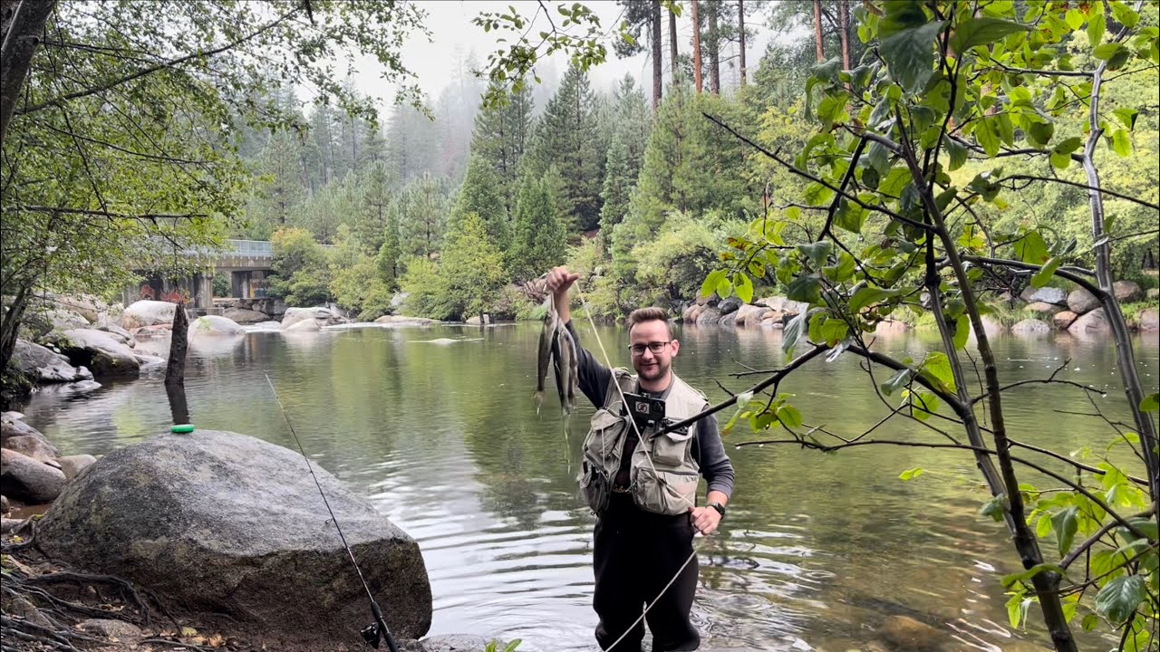 We caught 7 fish in the first hour of our fishing trip!