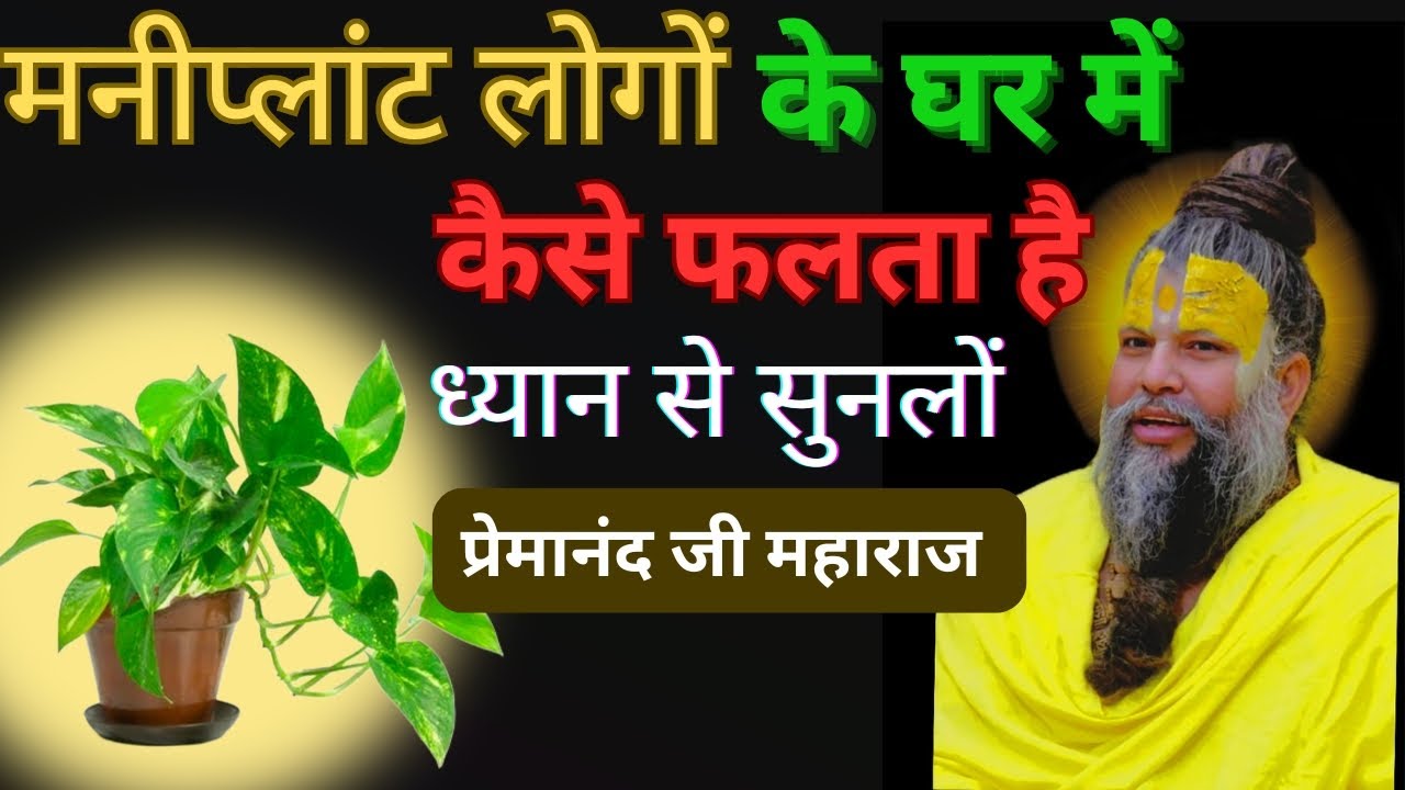 मनीप्लांट लोगों के घर में कैसे फलता है ध्यान से सुनलो !!@BhajanMarg #upaye 