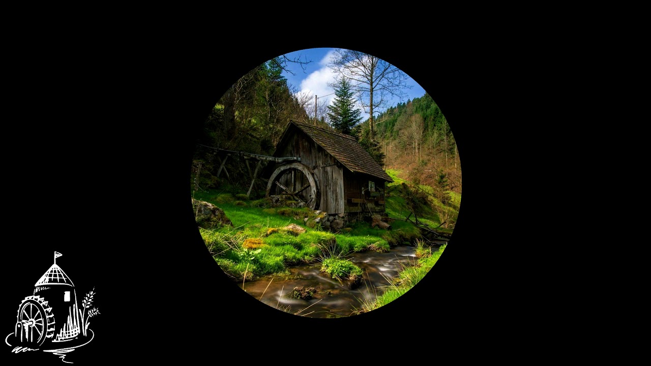 Funk Fox - The Old Watermill