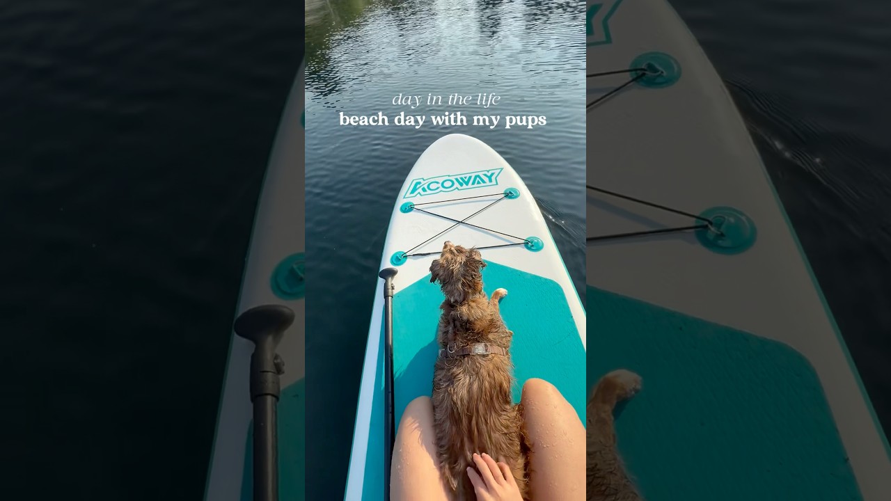 Taking my dogs to a private beach in Victoria B.C.   🐶🌊☀️ #dogmom #dogadventures #dogtravel