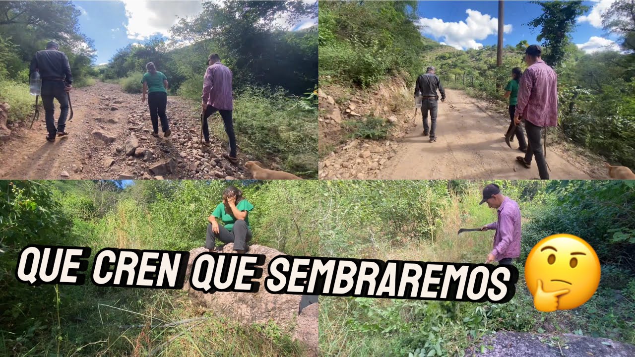 MI MAM&Aacute; Y MI HERMANA NOS AYUDAN A LIMPIAR TIERRA PARA LA SIEMRBA 👍