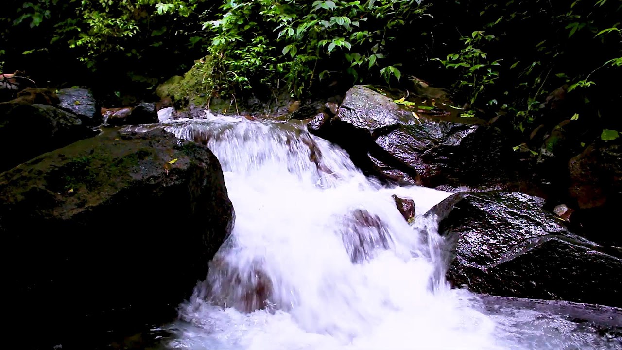 Deep Sleep beside a Mountain River | Relaxing Flowing Water Nature Sounds