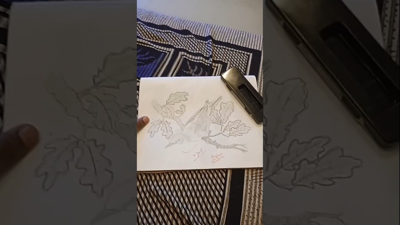bird pencil shading drawing 