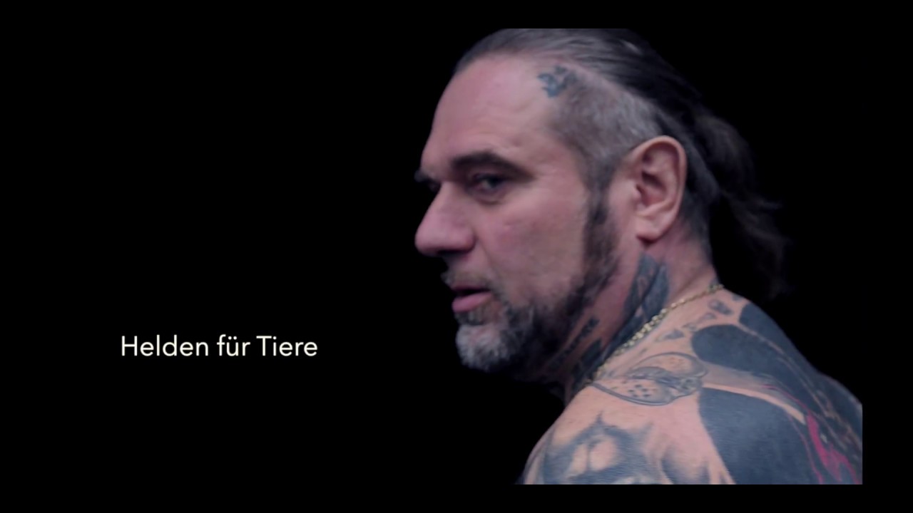 Helden für Tiere #1