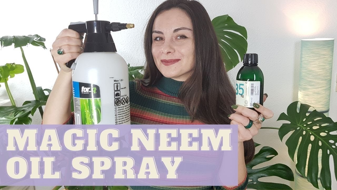 How to EASILY Prepare Neem Oil Spray for Plants