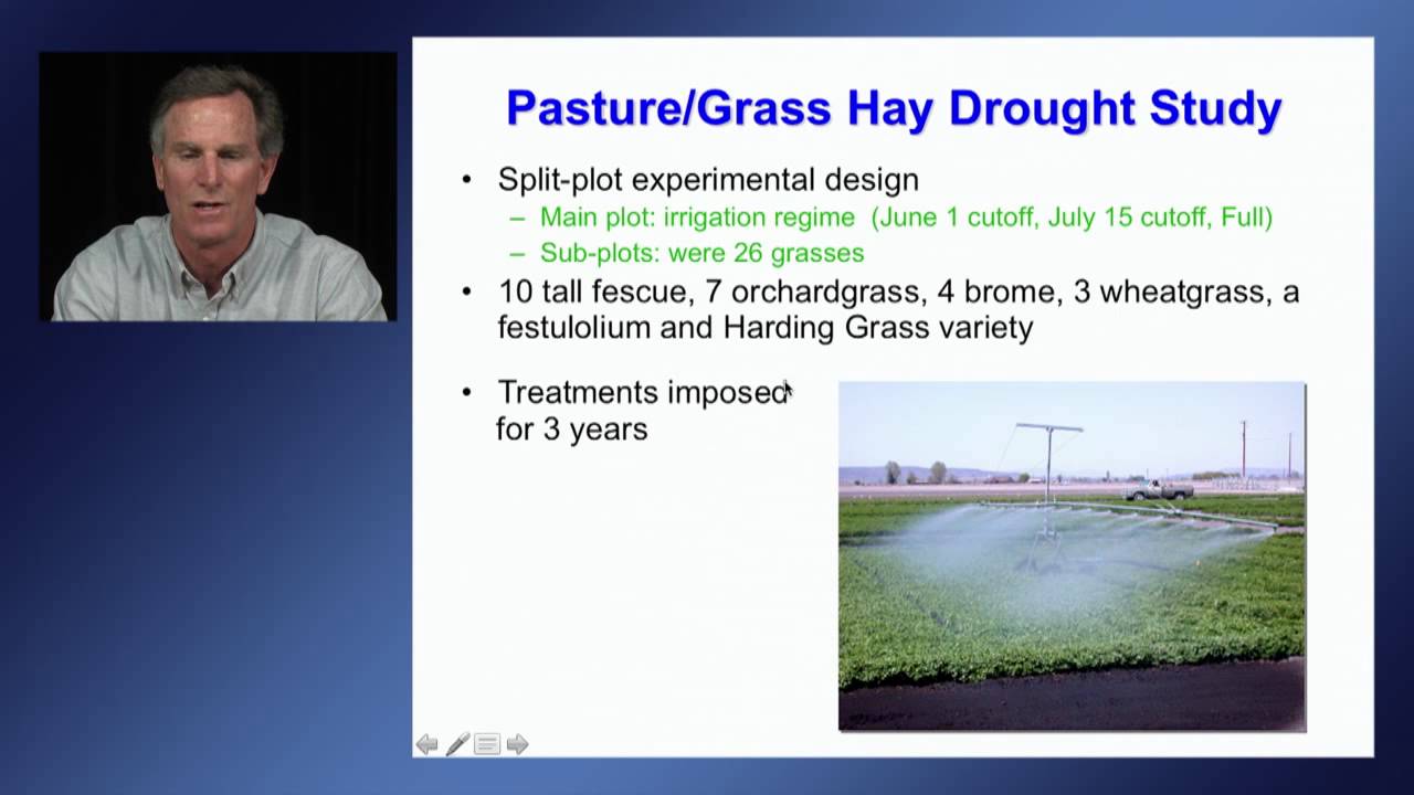 Perennial forage production with limited water