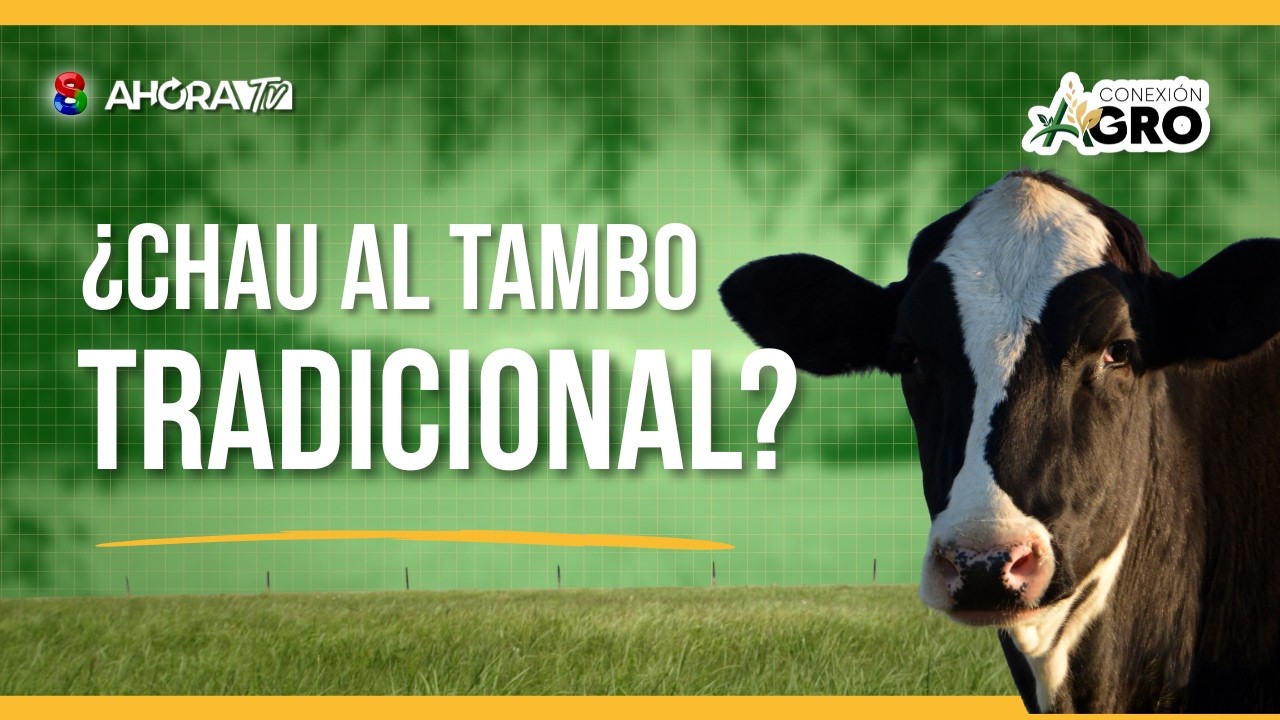 ¡TAMBO 100% ROBOTIZADO! El secreto de la vaca récord de 125 litros en un día
