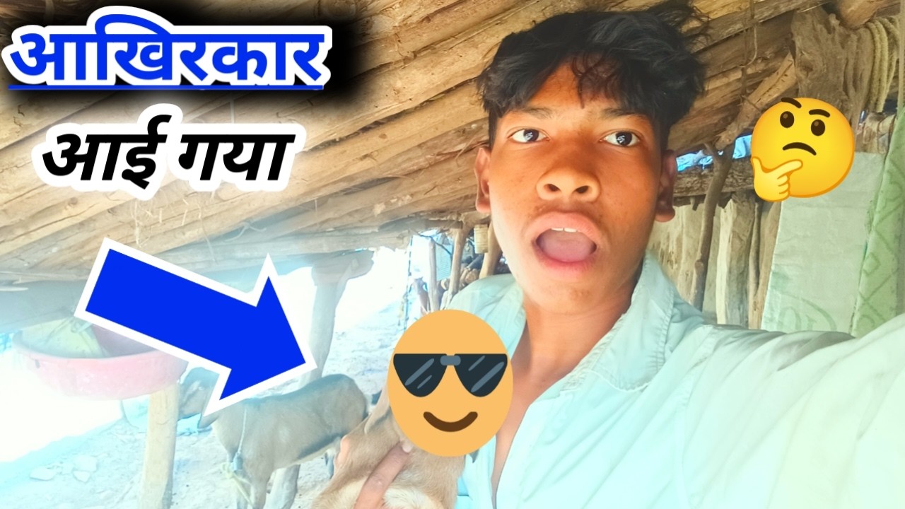 आखिरकार आई गया बकरी‌ का बच्चा गाँव की देसी खेती और तरबूज | Vlog 70