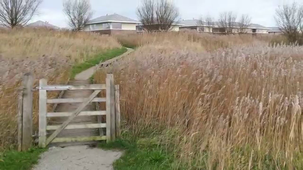 Landal Esonstad - Bungalowpark Anjum - Friesland (en omgeving Lauwersmeer)