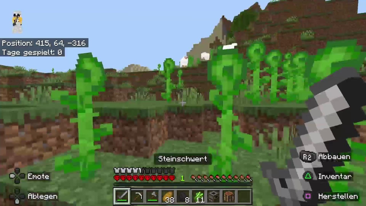 MINECRAFT🔥hardcore welt