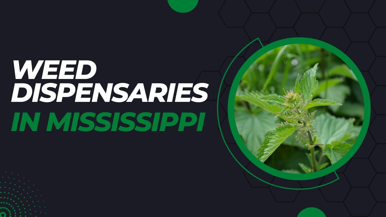 North Miss. dispensaries prepare to stock their shelves with medical cannabis