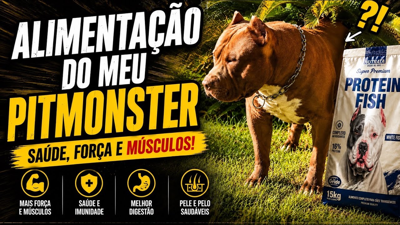 ALIMENTAÇÃO DO MEU PITMONSTER