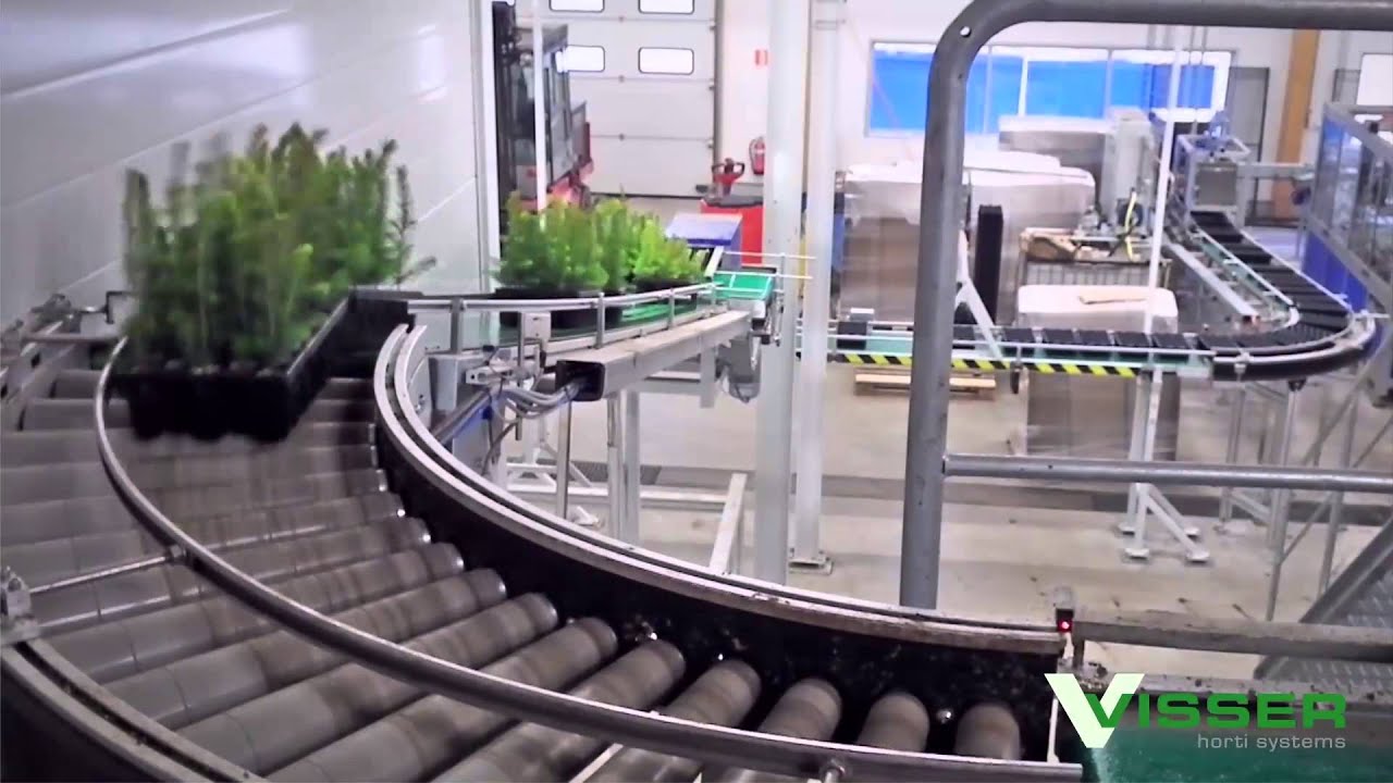 Visser Horti Systems - Reforestation Line - Holmen