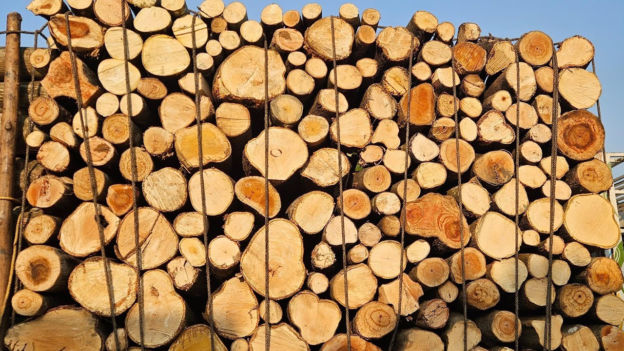 ply wood sheet craft product # wood sheet craft ideas Live