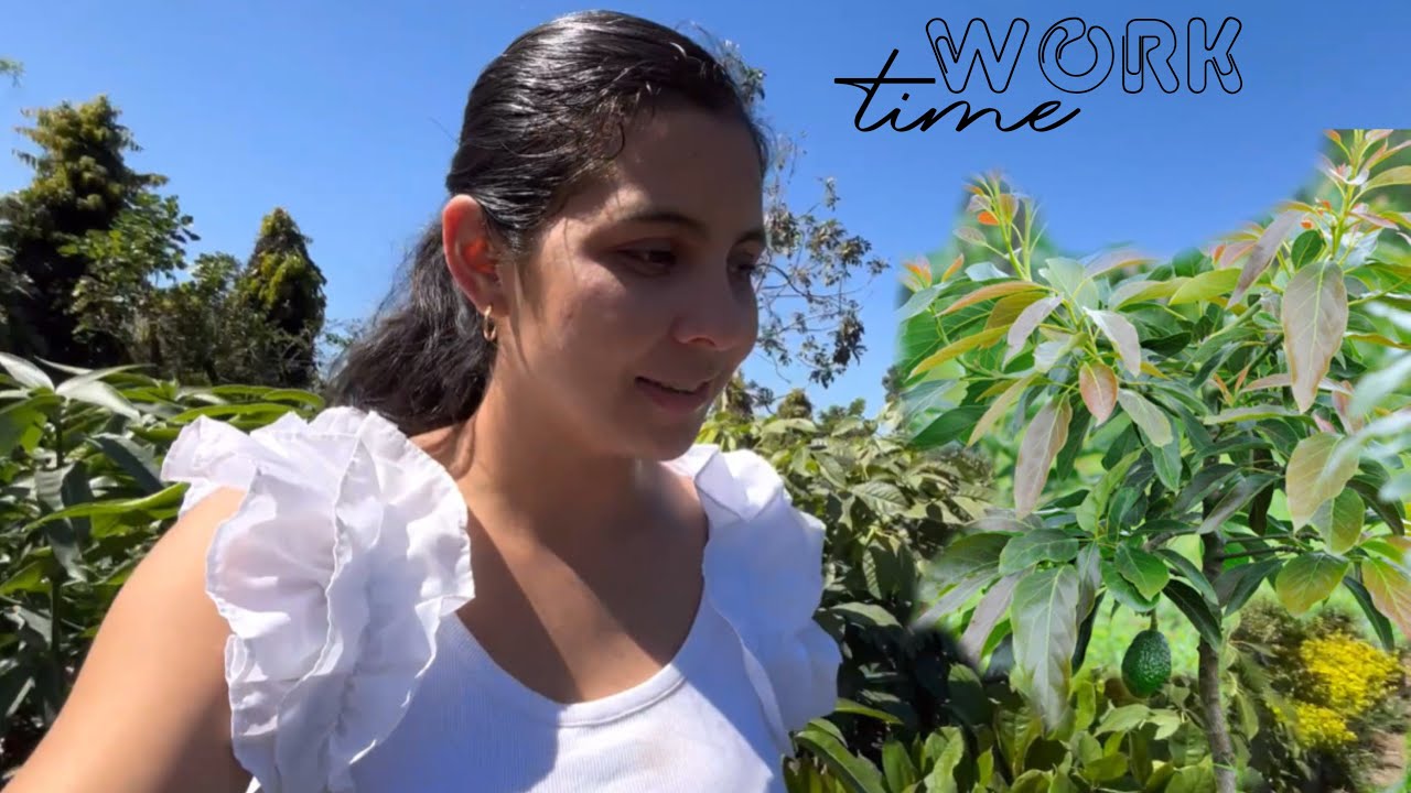 MOSTRANDO TERRENOS Y LLEVANDO ÁRBOLES A SAN SALVADOR // El Salvador 🇸🇻