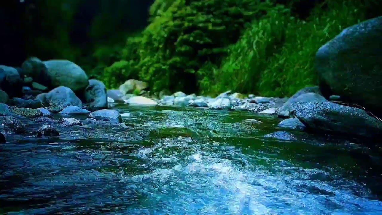 🌊 Calming River Water ASMR Sounds for Sleep Therapy & Anxiety Relief