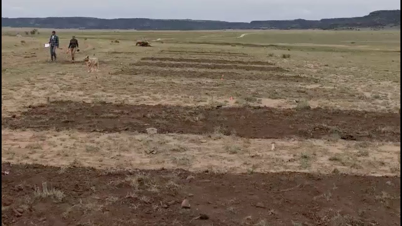 NM Compost Coalition: Compost applications on rangeland