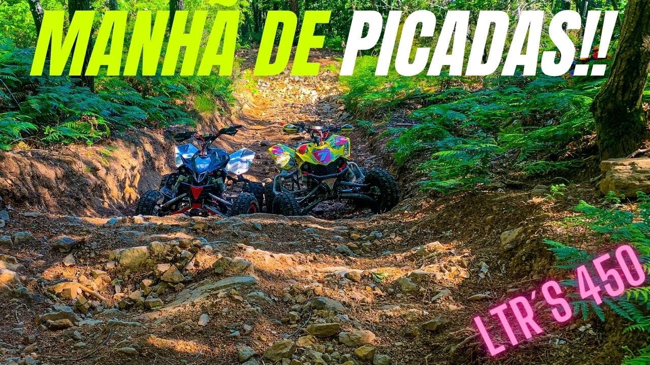 Manhã de picadas!! ltr 450
