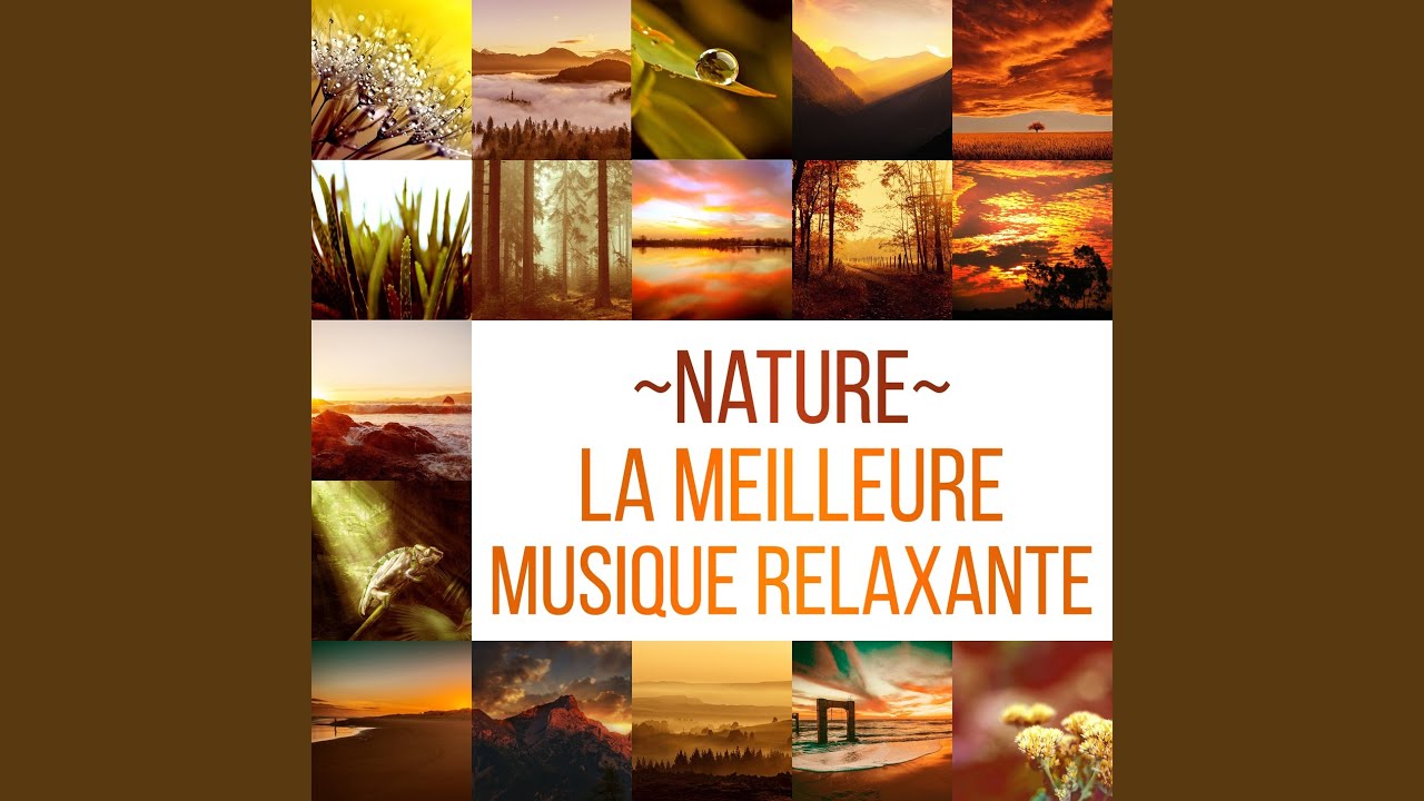 M&eacute;ditation pleine conscience