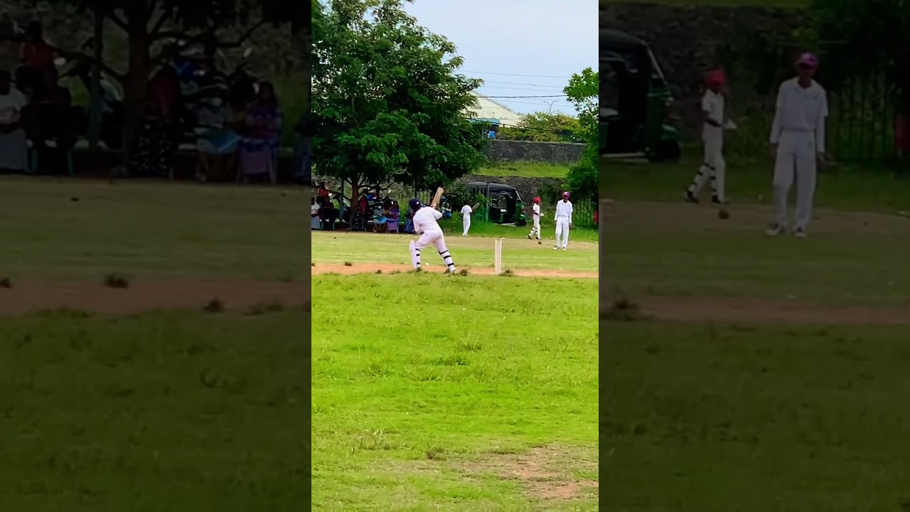 School Cricket 🏏😍 #cricket #shorts