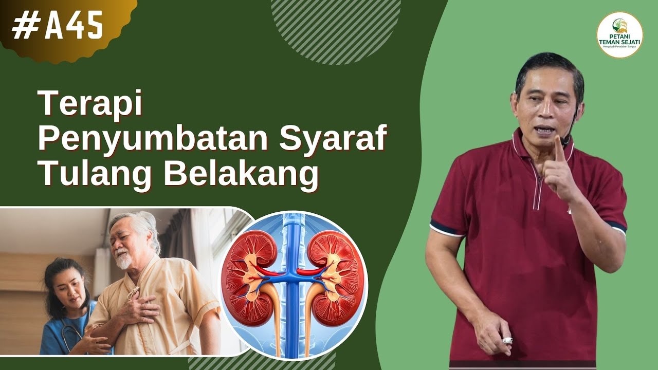 Kerusakan Pada Ginjal Hingga Mengakibatkan Stroke