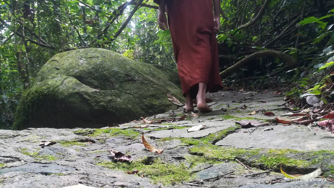 Concept & Reality - Introduction|04|Most Ven Dhammajiva Maha Thero|2022-01-25