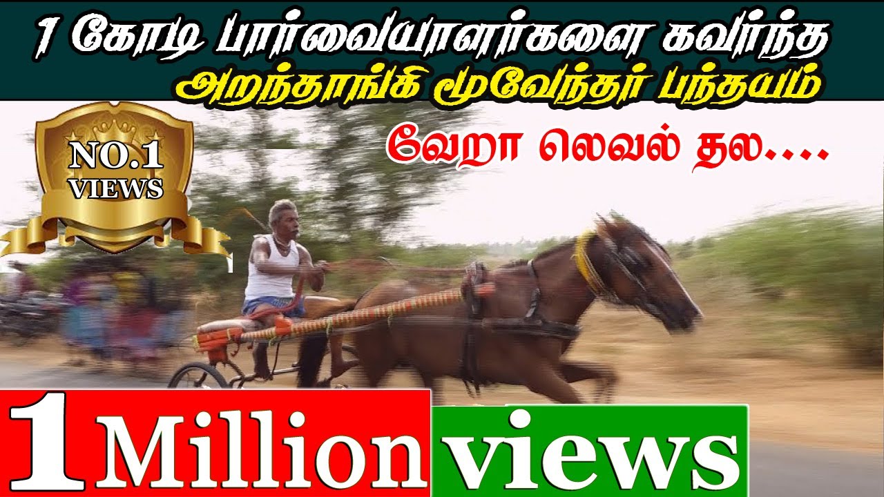 நடுகுதிரை 1Million views அறந்தாங்கி மூவேந்தர் பந்தயம் 12-05-2019  nadukuthirai aranthangi  panthayam