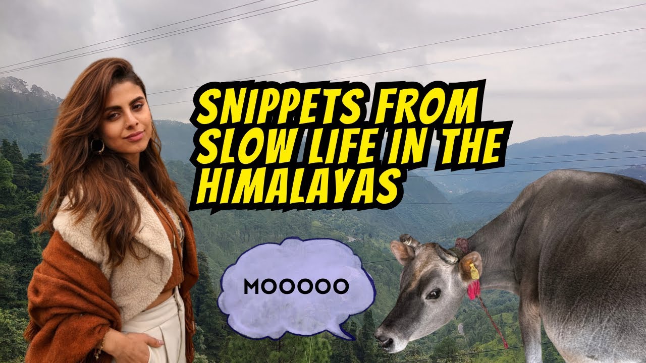 Snippets from Indian Pahadi Village 