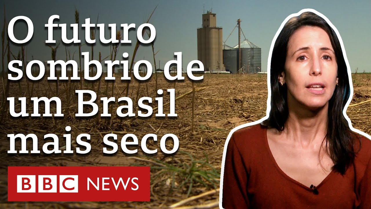 Como destrui&ccedil;&atilde;o do ambiente amea&ccedil;a agricultura e exp&otilde;e Brasil a clima extremo