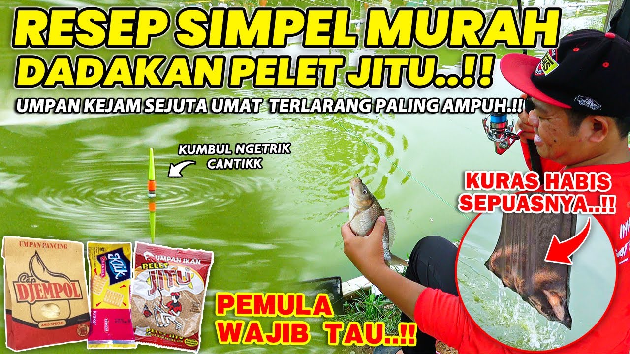 RACIKAN UMPAN DADAKAN SIMPEL MURAH & TERAMPUH !! UMPAN PENGURAS EMPANG LOMBA  KILO GEBRUS ❗❗