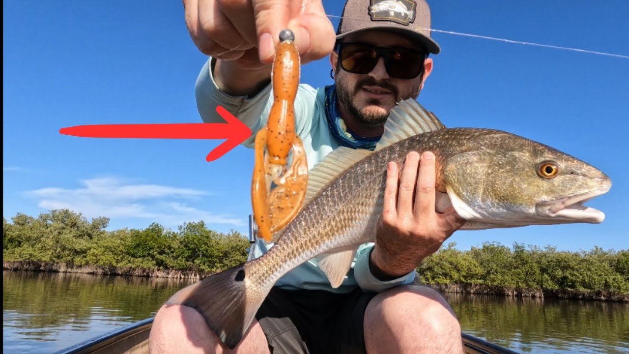 Redfish LOVE this BASS lure!! 