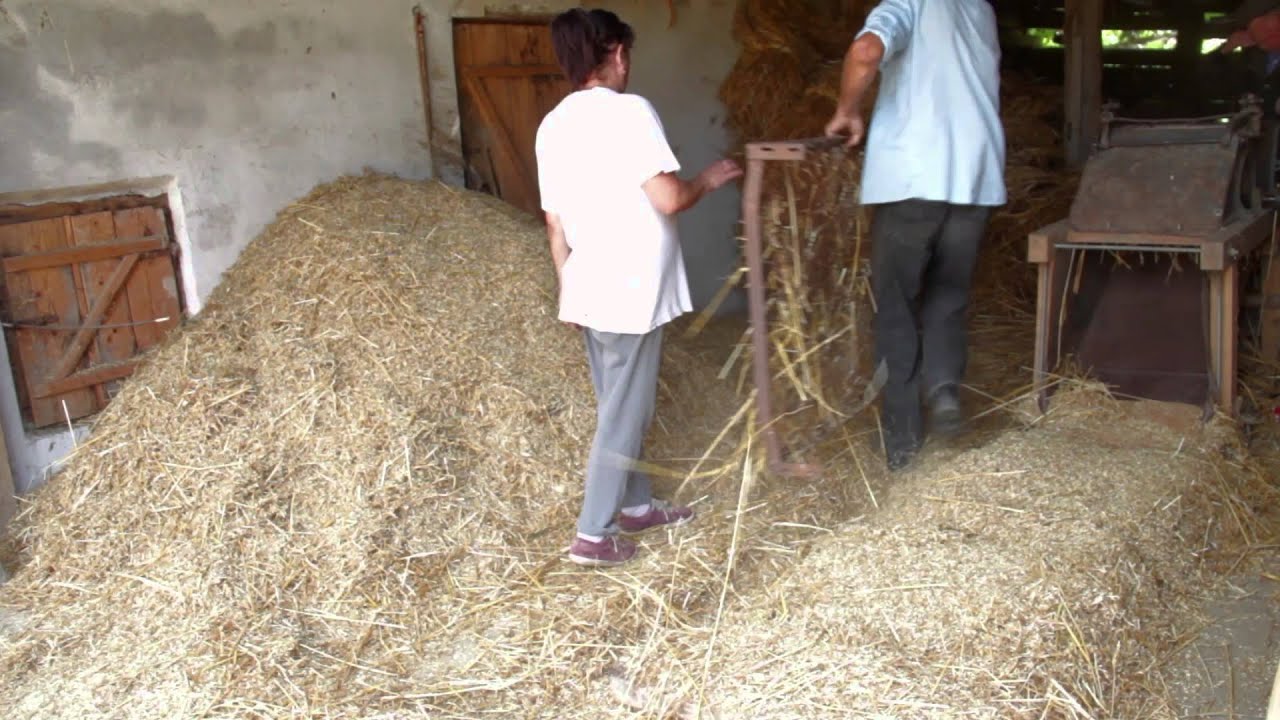 Transylvanian traditional wheat processing