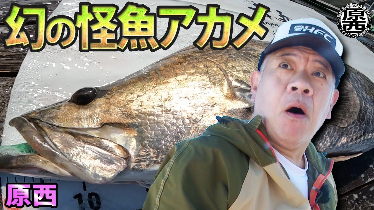 原西『幻の怪魚アカメ』を追う！