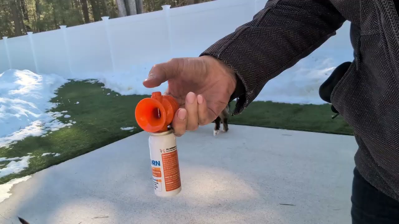 My review of Air Horn, 1.4 oz 120 dB Loud Pet Trainer