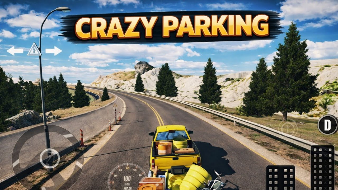 This was hard parking game