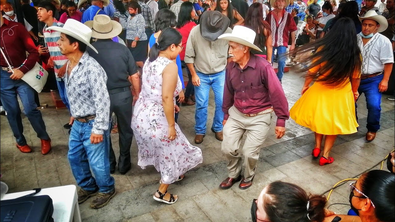 DESDE XILITLA ❤️ DOMINGO DE HUAPANGO #627 💃🕺 TRÍO NOBLEZA HIDALGUENSE 🎶🎻