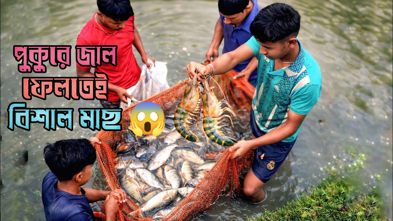 পুকুরে জাল ফেলতেই বিশাল মাছ উঠলো 😱 | A Huge Fish Emerged after Casting a Net in the Pond.
