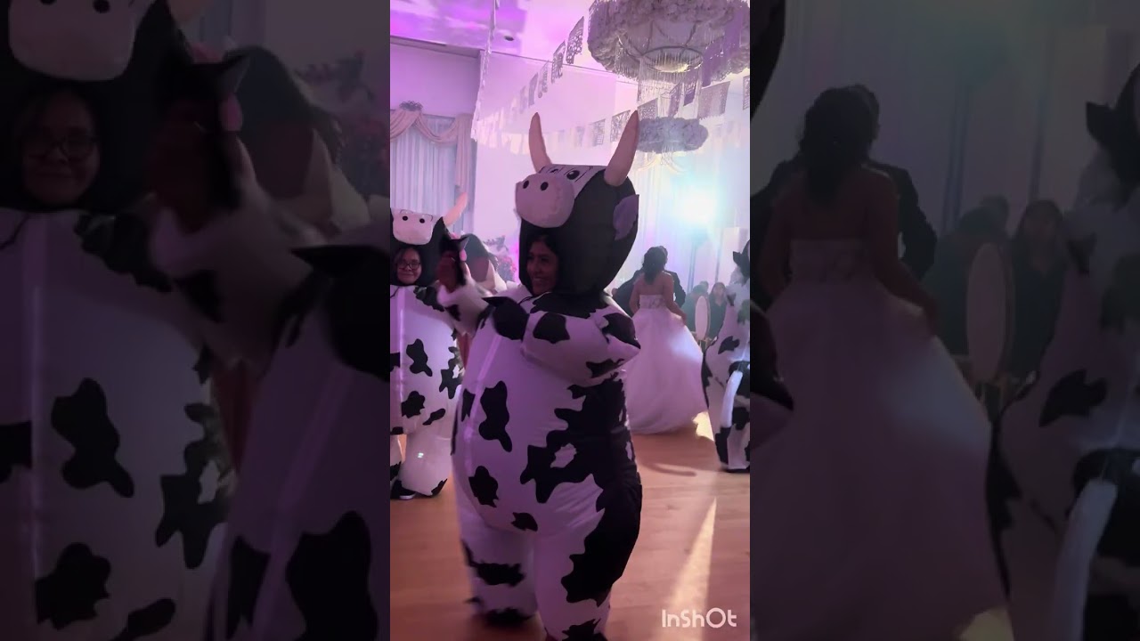 Boda de Lizeth y José #2020 