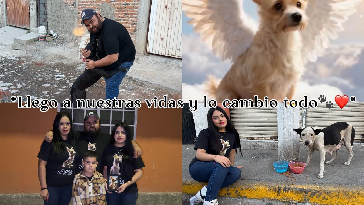 Hoy compartimos comida y cariño a perritos sin hogar 🐶💛vlog conmemorativo