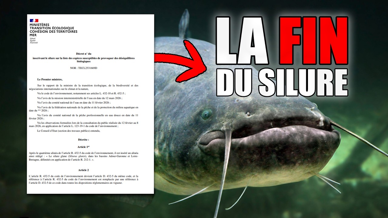 DÉCRET SILURE 2026 : Pourquoi il doit enfin passer NUISIBLE (Preuves officielles)