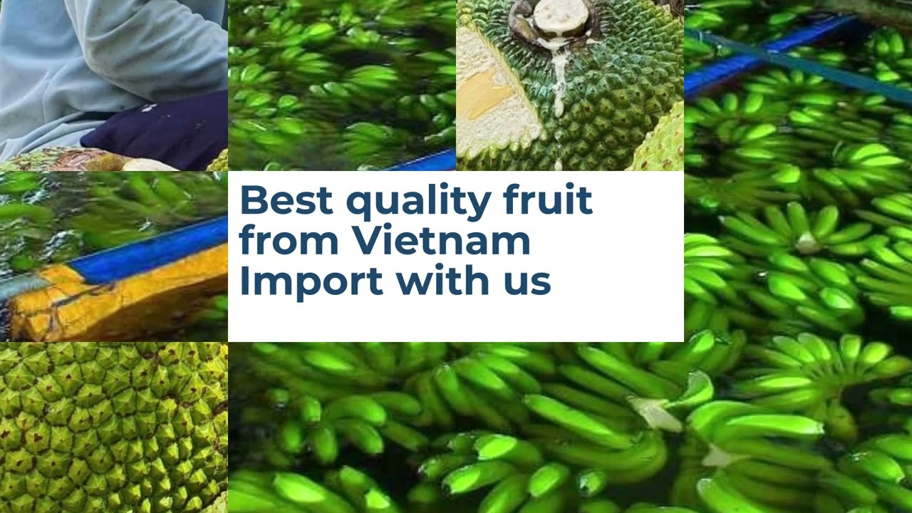 LCD Fruit Vietnam fruit supplier #import #export #LCDfruti #Fruitsupplier