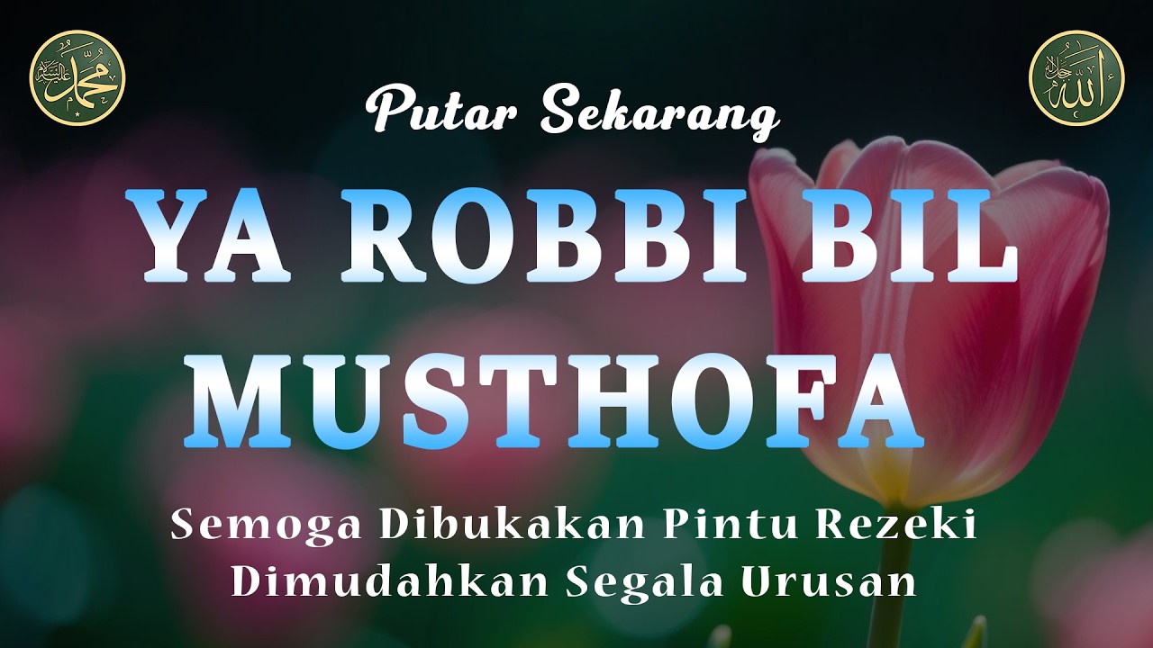 Ya Robbi Bil Musthofa Tanpa Musik, Diampukan Dosa & dikabulkan Hajat, Sholawat Merdu, 18