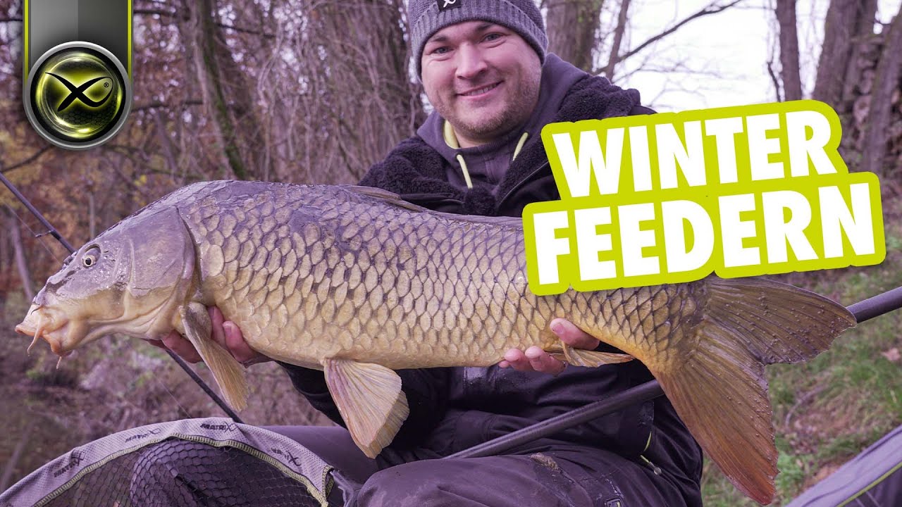 ERFOLGREICH feedern im WINTER - mit Method Feeder auf KARPFEN