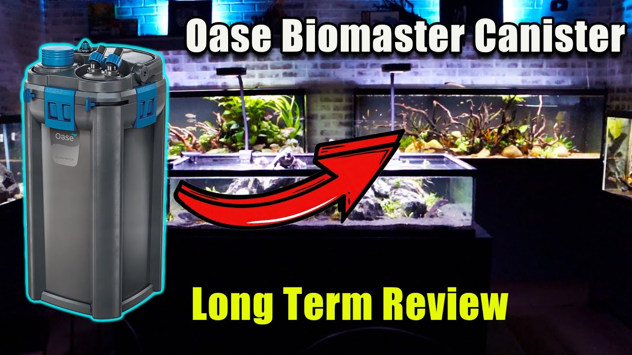 Was It Worth It? Oase 850 Biomaster Thermo Canister Filter Long Term Review