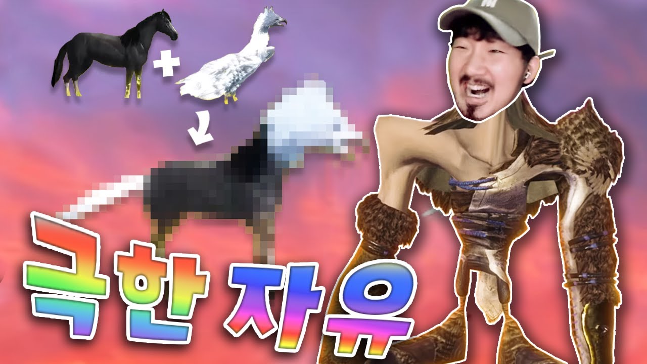 자유의 끝을 경험하시겠습니까? (어지러워요)
