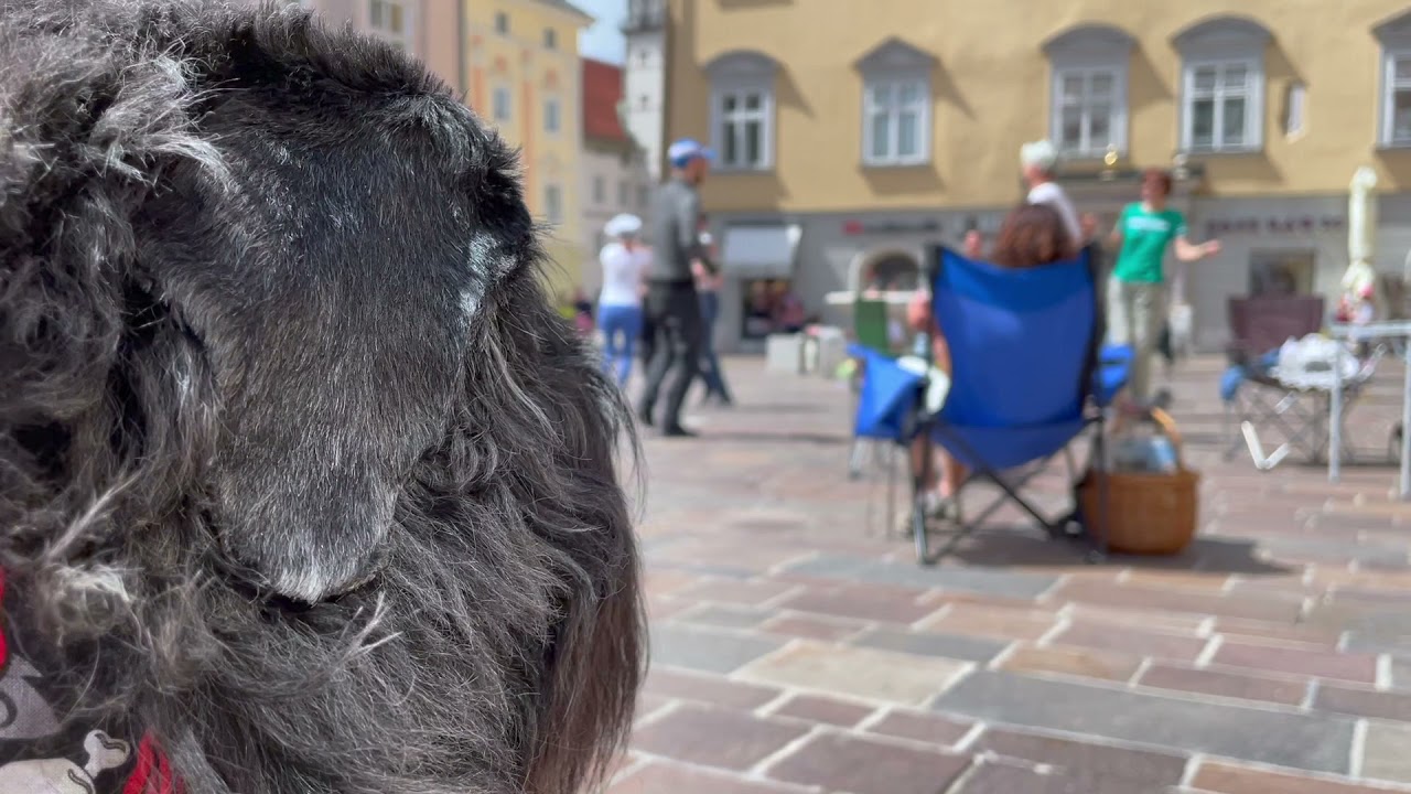 Flashmob - Klagenfurt - 1.  Mai 2021