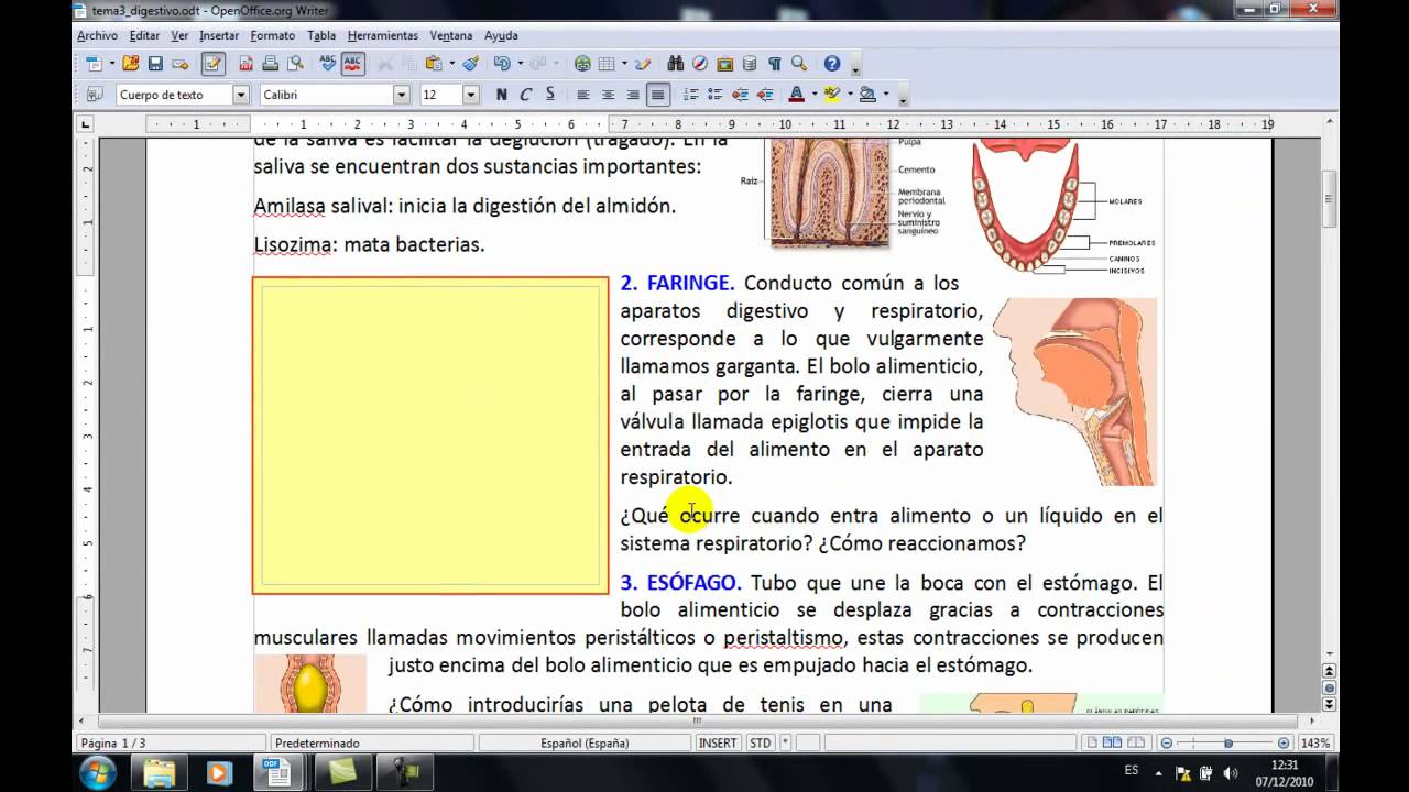 OpenOffice, parte 6. Elaboración de una unidad didáctica: insertar marcos o cuadros de texto.
