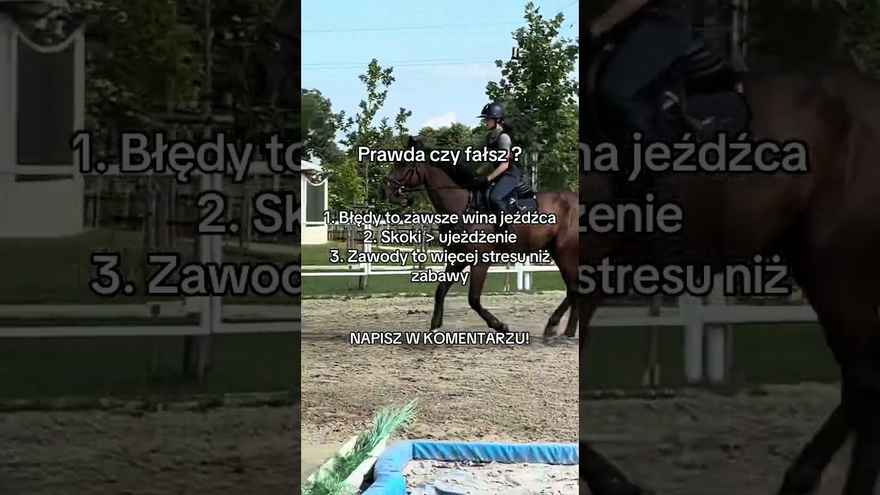 Prawda czy fałsz ? Napisz w komentarzu ! #equestrian #horse #konie #jezdziectwo