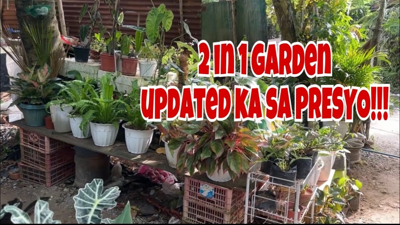 2IN1 GARDEN UPDATED KA SA PRESYO!
